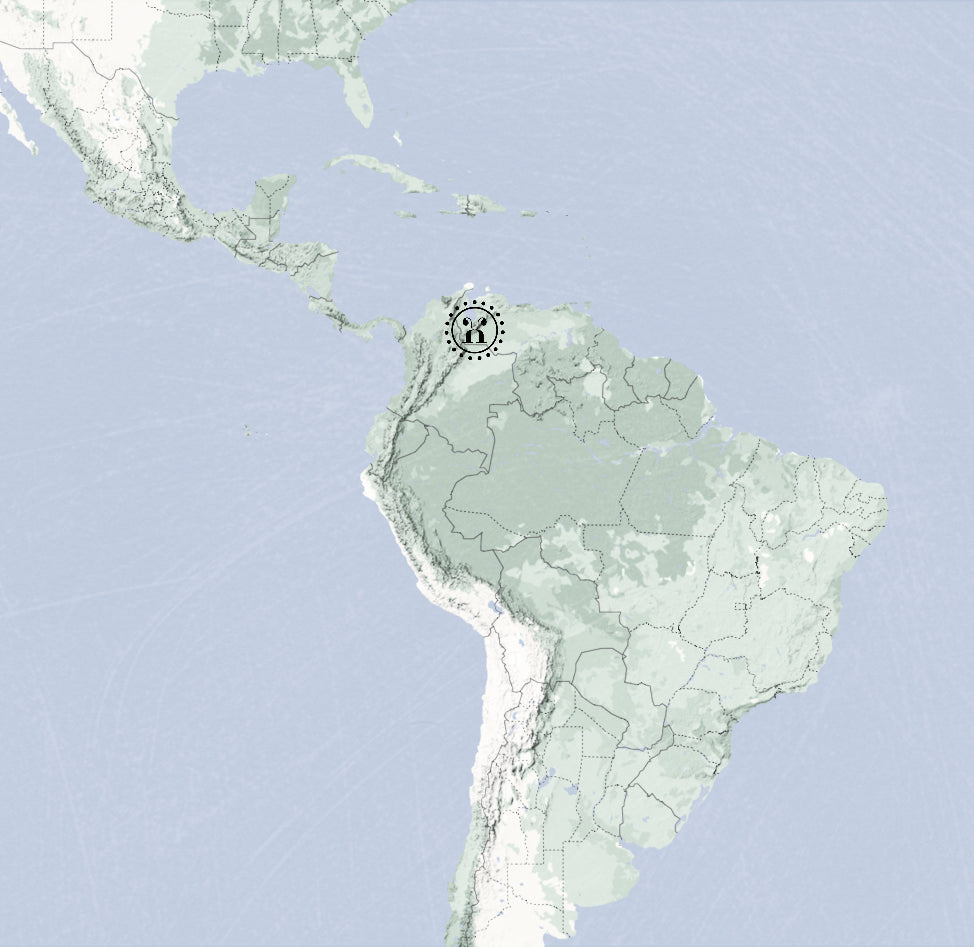 Maracaibo Créole 49%