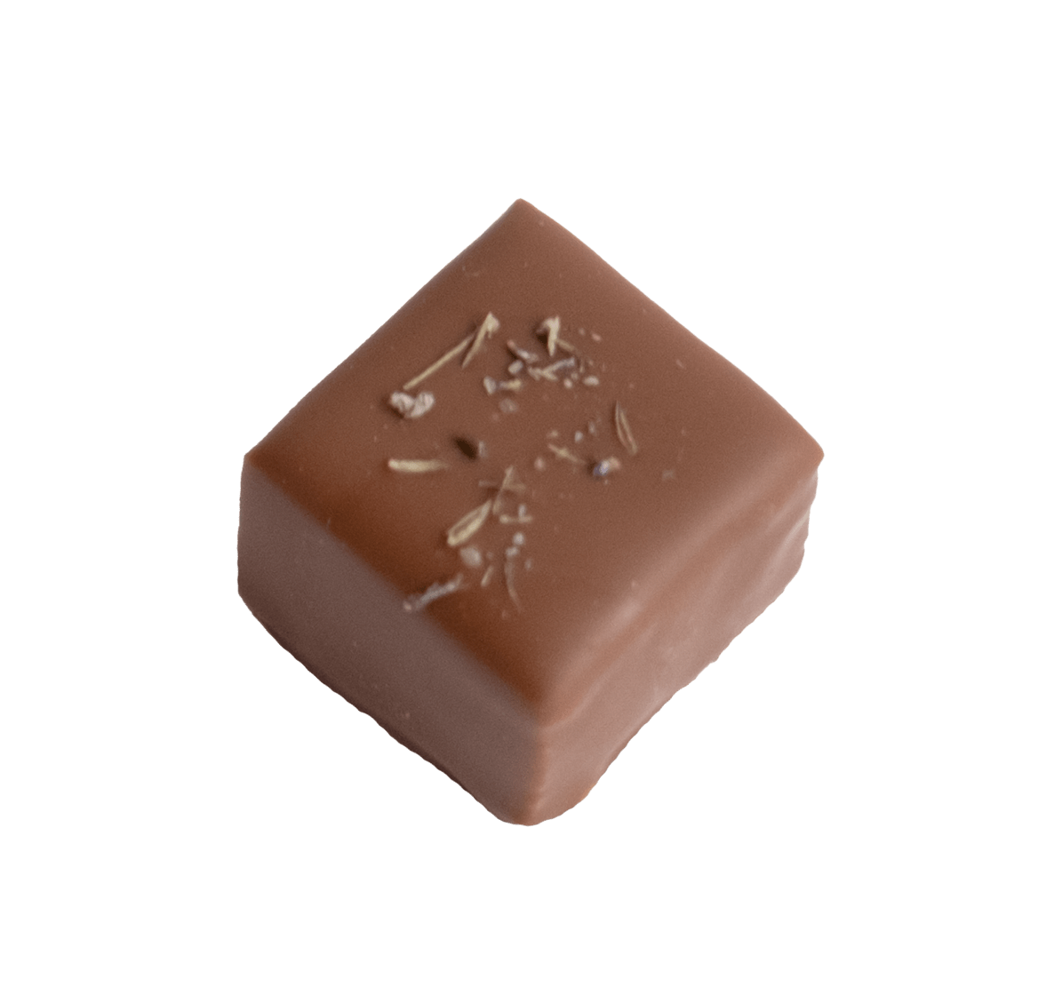Handgemachte Schnittpraline mit Caramelganache mit Lavendeltee umhüllt von Milchschokolade - Max Chocolatier
