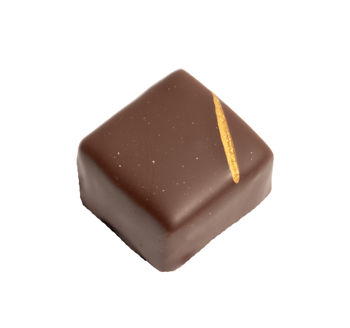 Handgemachte Schnittpraline mit Pinien-Gianduja dunkler Weisstannen Ganache umhüllt von dunkler Schokolade - Max Chocolatier