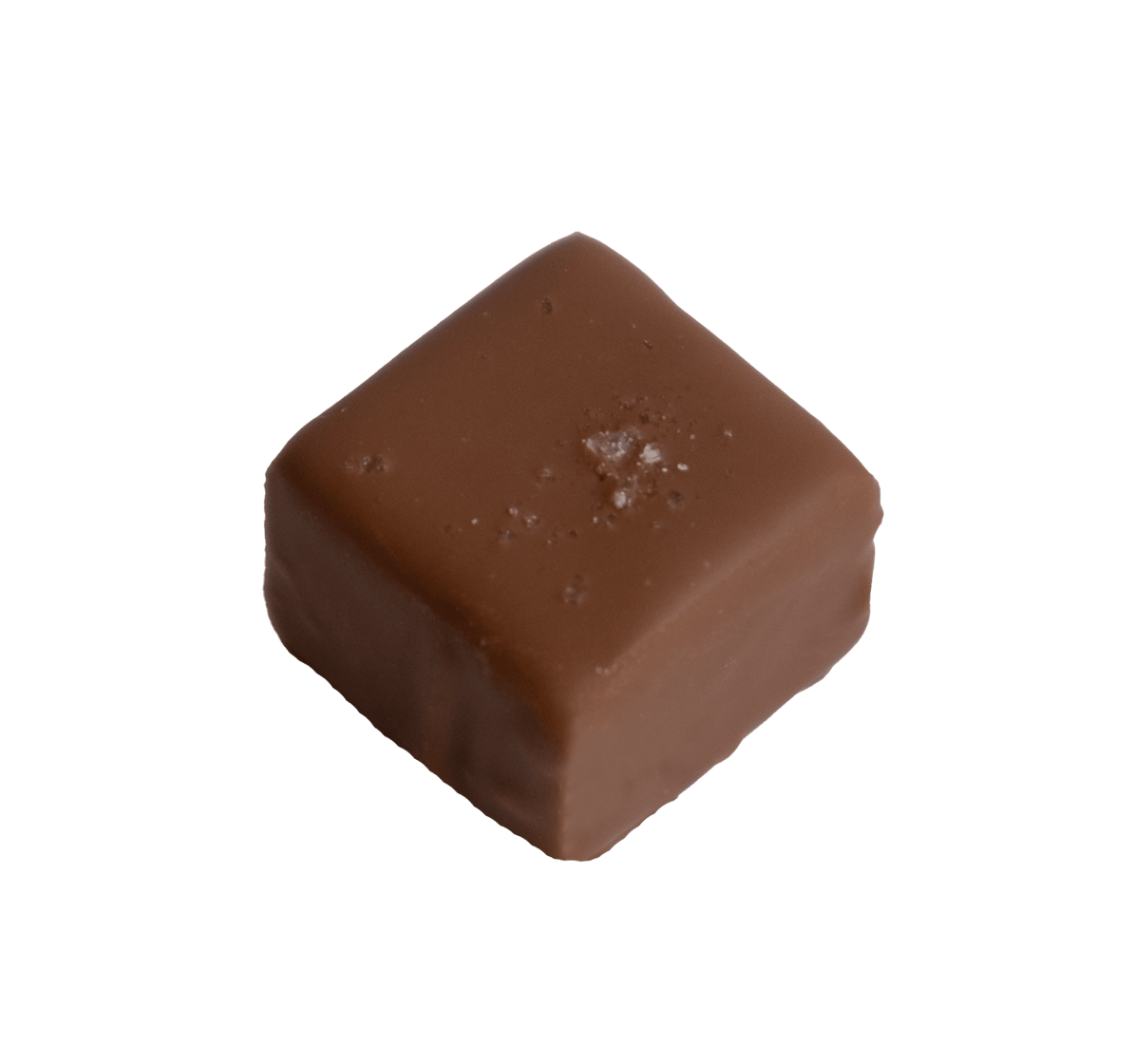 Handgemachte Schnittpraline mit Caramel und Erdnuss überzogen mit Milchschokolade - Max Chocolatier