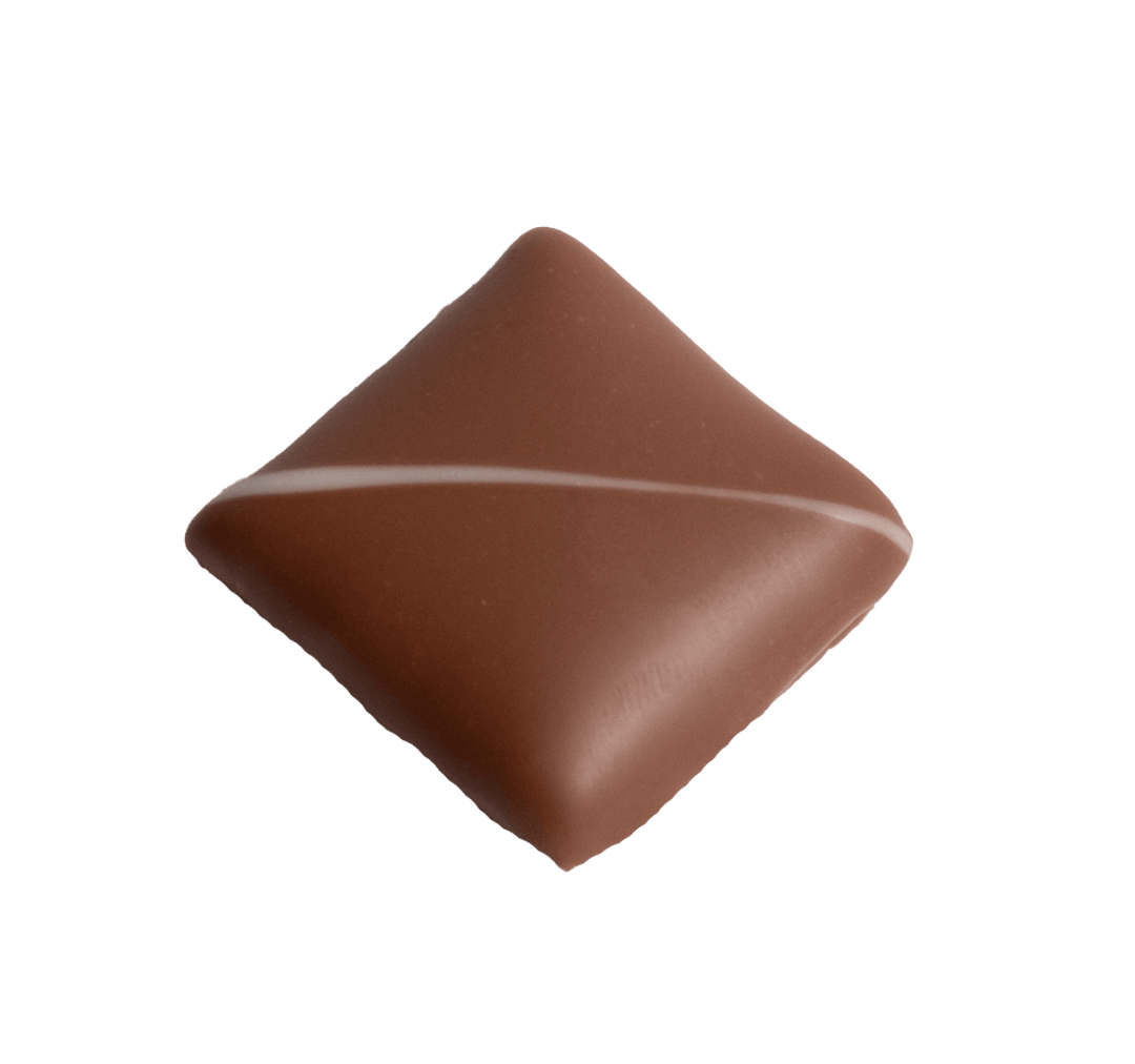 Handgemachte Aprikose Caramelplattli - saisonal und fruchtig, aus der Chocolaterie Max Chocolatier Luzern