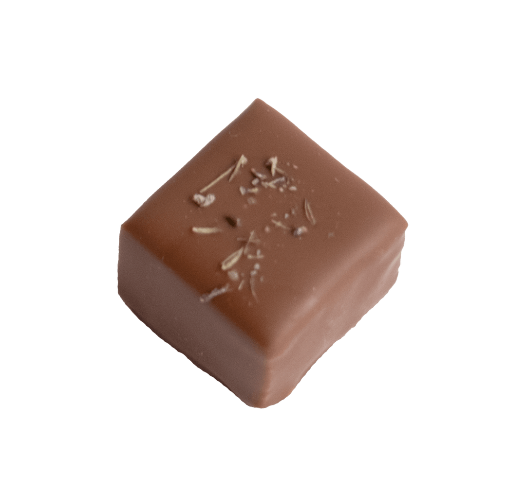 Handgemachte Schnittpraline mit Caramelganache mit Lavendeltee umhüllt von Milchschokolade - Max Chocolatier