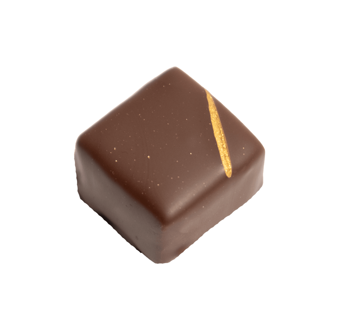 Handgemachte Schnittpraline mit Pinien-Gianduja dunkler Weisstannen Ganache umhüllt von dunkler Schokolade - Max Chocolatier