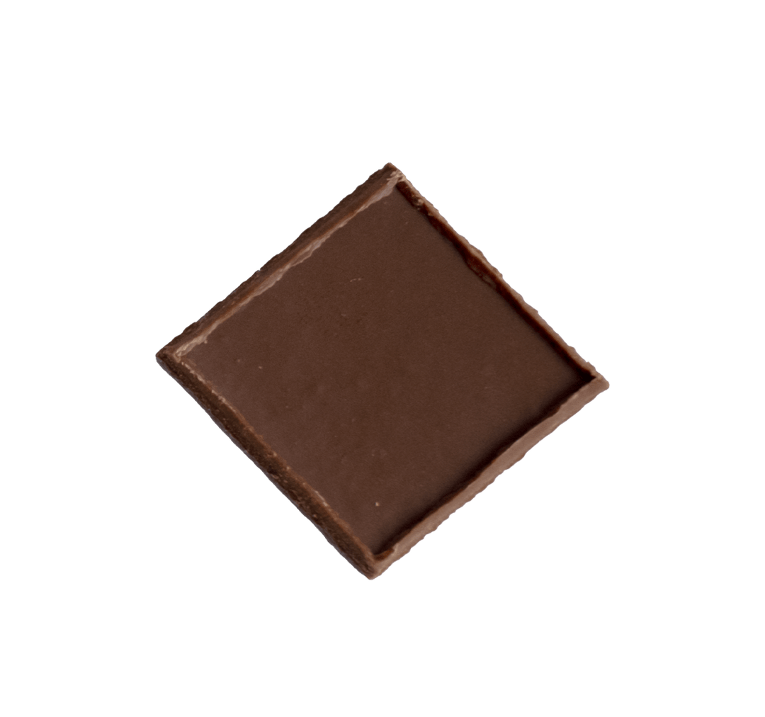 Handgemachte dunkle Grand-Cru-Schokolade mit gerösteten Macadamianüssen - Max Chocolatier