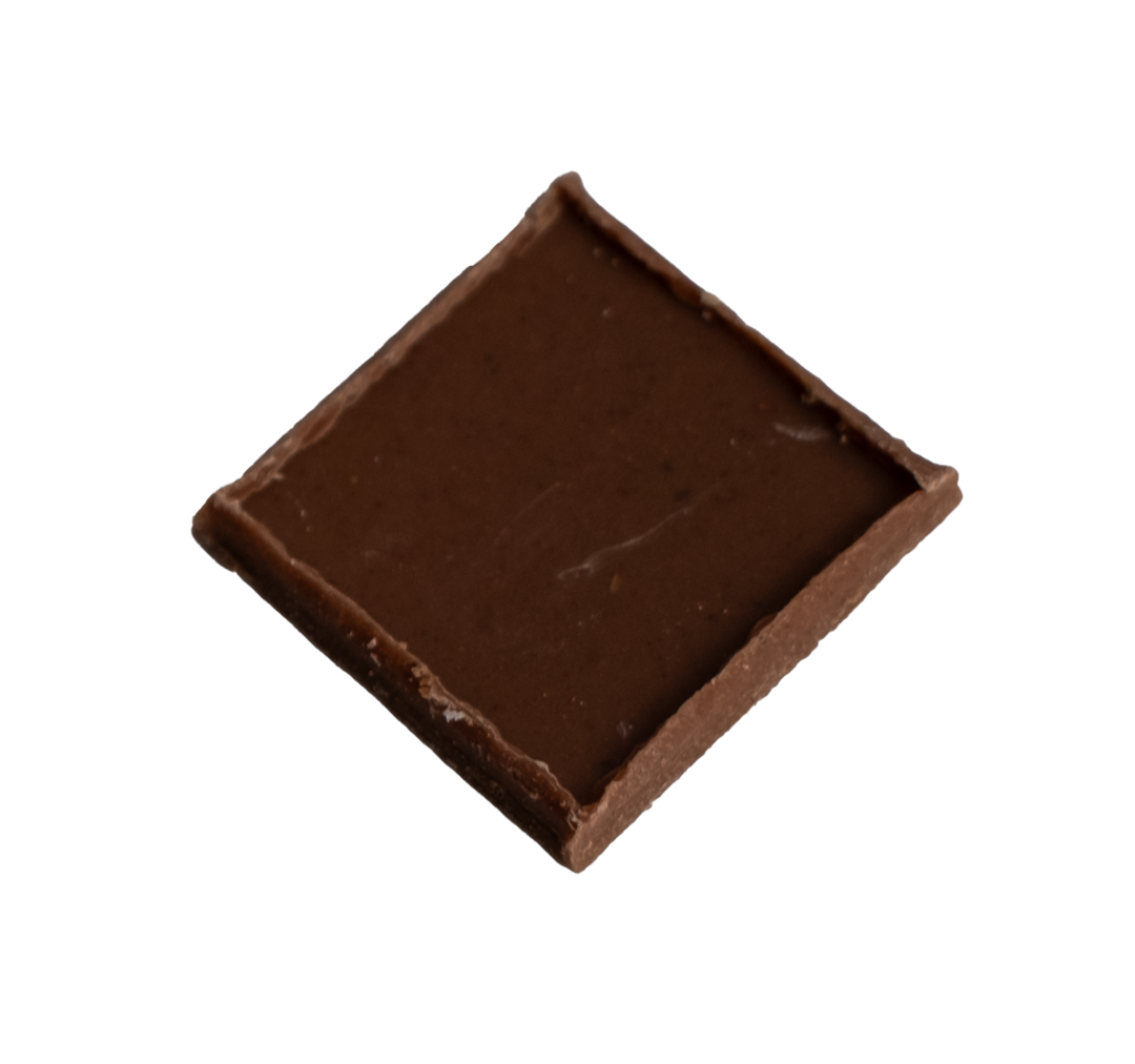 Spekulatius Schoggiplättli