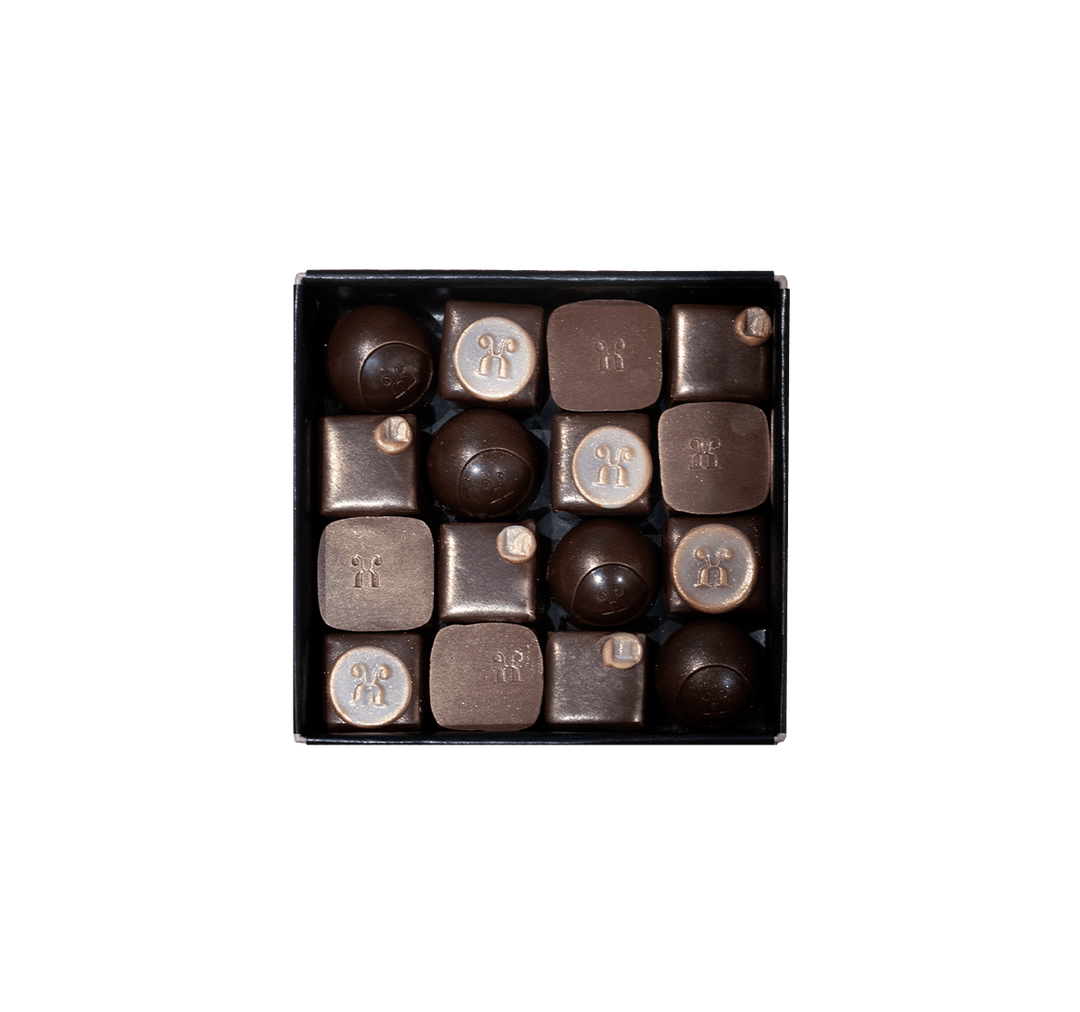 Coffret de 12 chocolats d'automne assortis