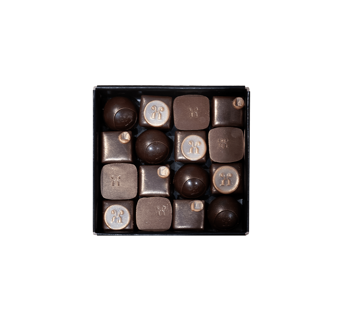 Coffret de 12 chocolats d'automne assortis
